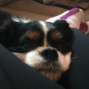 Meet your Posher, Cate